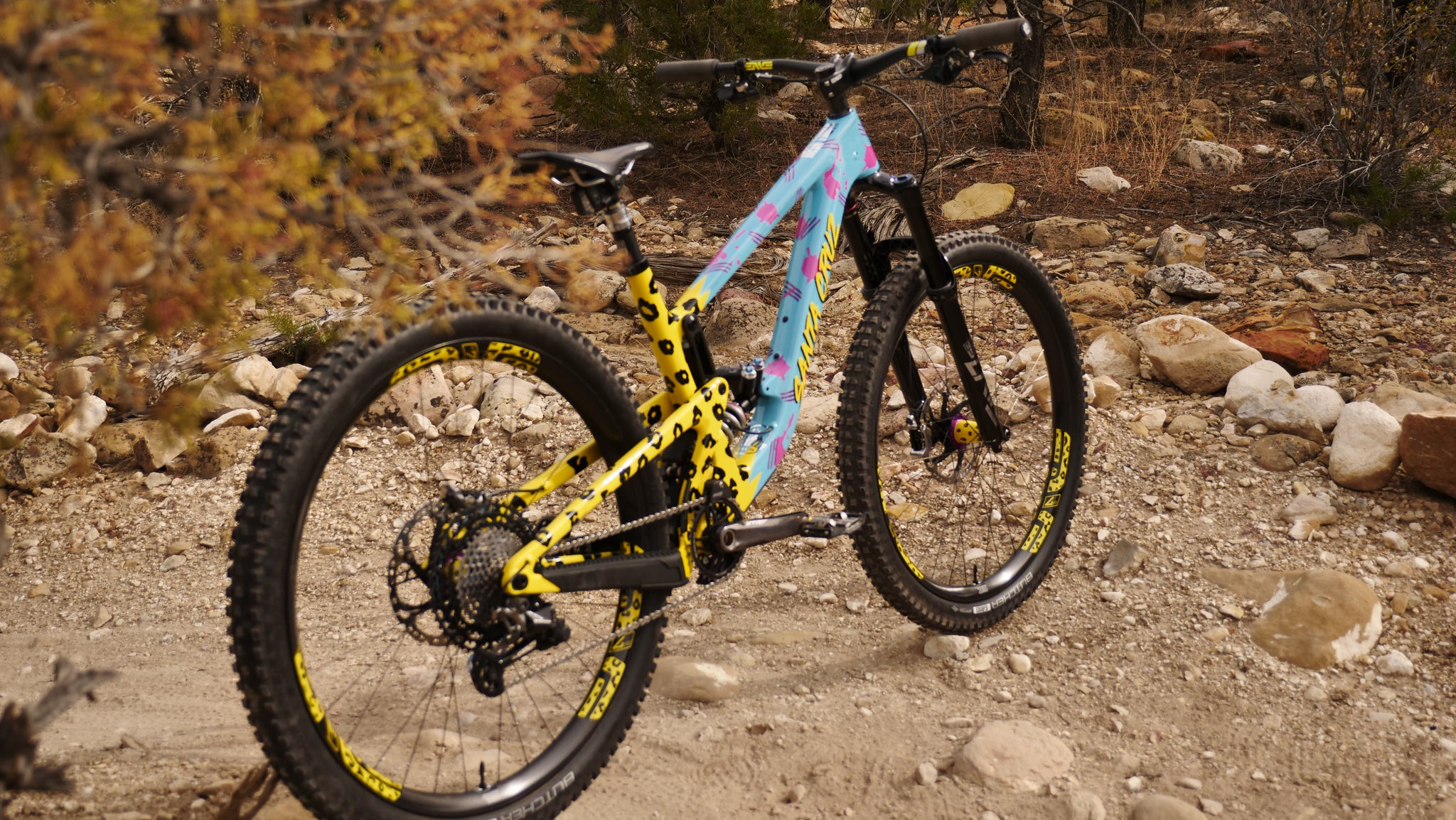 Mountain Bike Bicycle Painting Shops Near Me Bicycle Frame